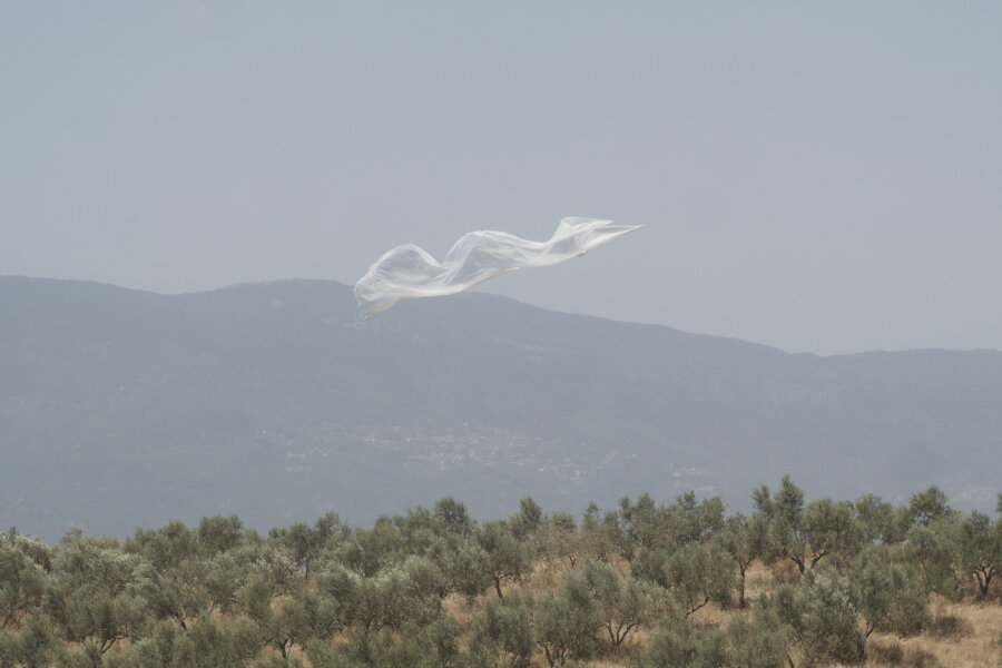 Joshua Le Gallienne Surrender 2019